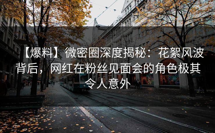【爆料】微密圈深度揭秘：花絮风波背后，网红在粉丝见面会的角色极其令人意外