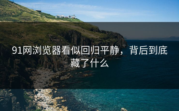 91网浏览器看似回归平静，背后到底藏了什么